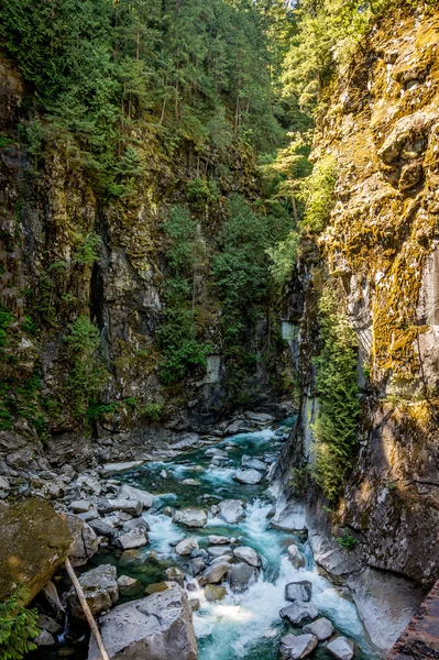 Rapide nel Canyon di Coquihalla — Foto Stock