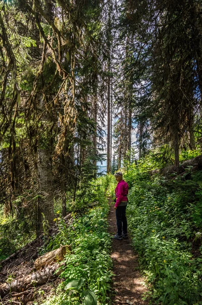 Γυναίκα πεζοπορία μέσα από τα βουνά της British Columbia — Φωτογραφία Αρχείου