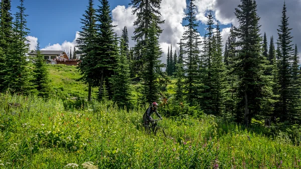Ciclista de montaña bajando colina en Sun Peaks — Foto de Stock