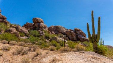 Arizona Çölü'nde bir yamaca üç haçlar