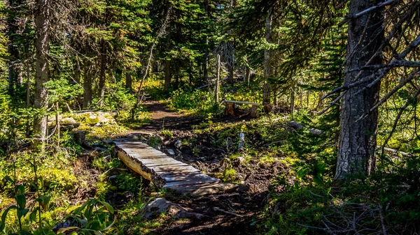 Un puente de madera sobre un arroyo en una ruta de senderismo — Foto de Stock