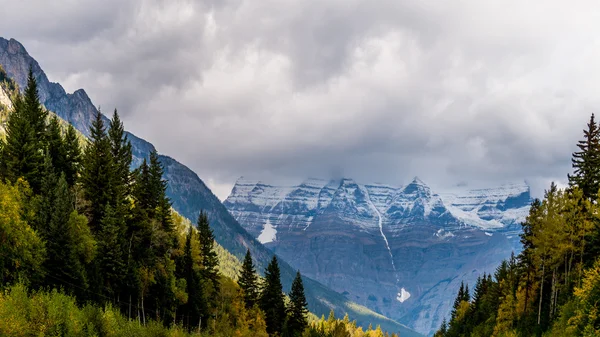 Mount Robson in Dark Clouds — Stock Photo, Image