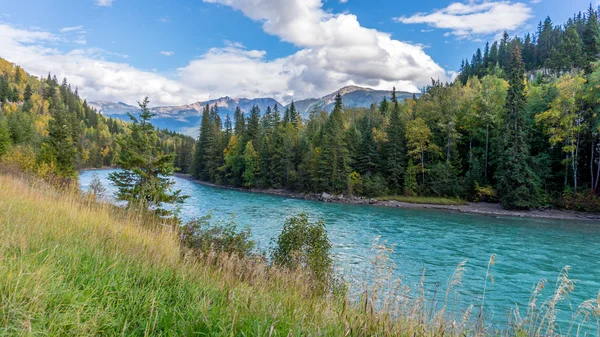North Thompson River in central British Columbia — Stock Photo, Image