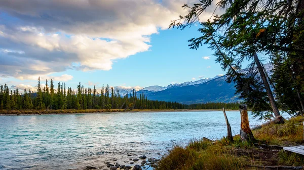 Alba sul fiume Athabasca — Foto Stock