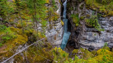 Maligne River Maligne vadiden akar