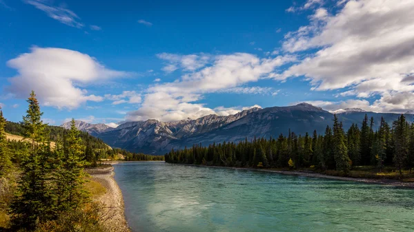 Athabasca River od Maligne silniční most — Stock fotografie