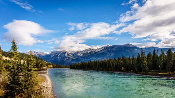 Athabasca ποταμό από την γέφυρα του Maligne δρόμο λιμνών — Φωτογραφία Αρχείου