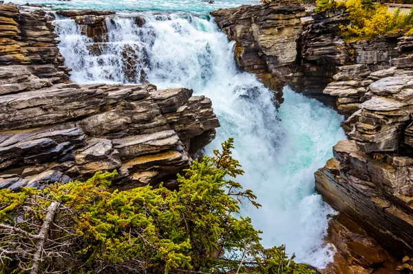 Athabasca Falls en el Parque Nacional Jasper — Foto de Stock