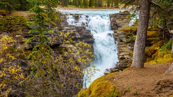 Athabasca Falls en el Parque Nacional Jasper — Foto de Stock