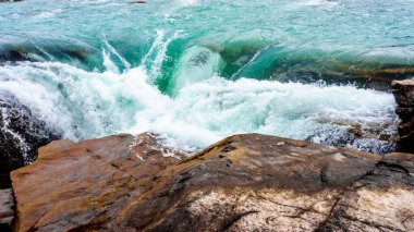 Athabasca Falls Jasper Milli Parkı'nda