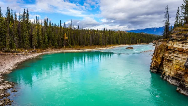 A água de cor turquesa do rio Athabasca — Fotografia de Stock