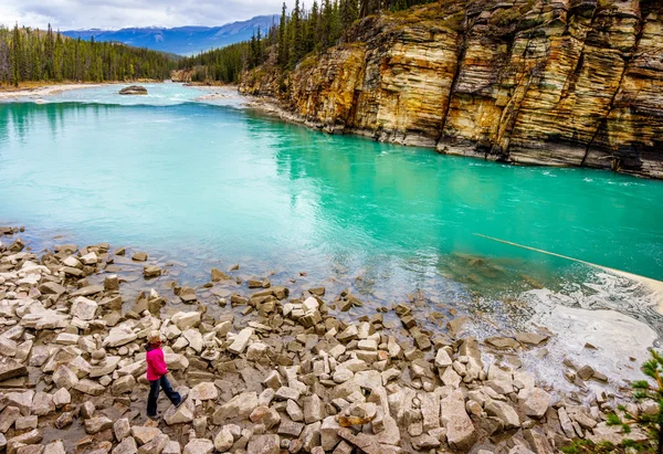 Τα γαλαζοπράσινα νερά χρωματιστά του ποταμού Athabasca — Φωτογραφία Αρχείου