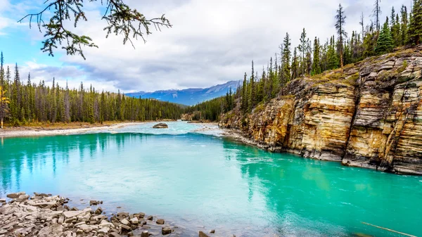 Het gekleurde turquoise water van de Athabasca River — Stockfoto