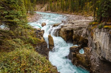 jasper national park sunwapta düşer