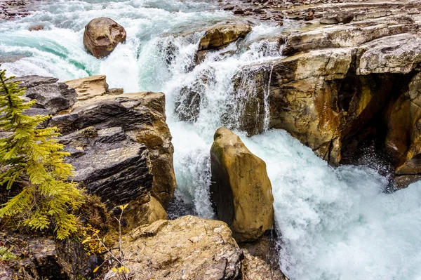 Sunwapta Falls nel Parco Nazionale di Jasper — Foto Stock