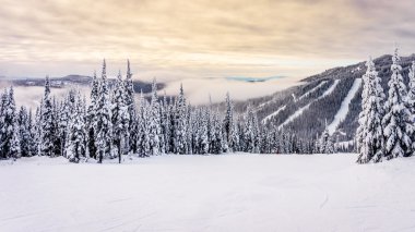 Sun Peaks yamaçları erken bir sabah koşu