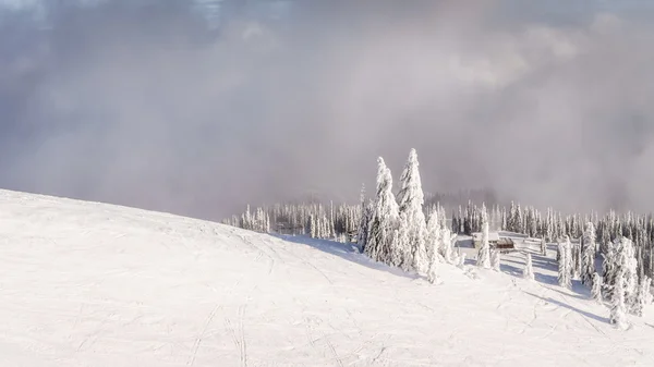 Esquiar por encima de la línea de árboles en las tierras altas de Shuswap — Foto de Stock