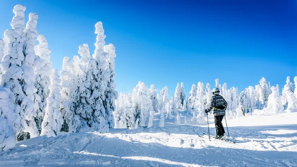 Mujer esquiadora Disfrutando de la belleza del paisaje invernal en una colina de esquí — Foto de Stock