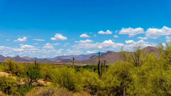 Una vista del conocido desierto de Arizona bajo el cielo azul en un día caluroso —  Fotos de Stock