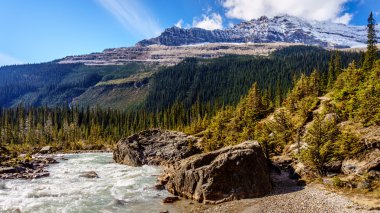 Takakkaw Falls Creek ve Michael tepe Yoho Milli Parkı'nda