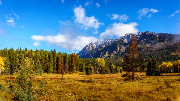 Kolory jesieni w Górach Skalistych w Parku Narodowym Banff — Zdjęcie stockowe