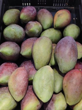 Bir sürü Asya tazeliği organik tatlı nadir mangolar mağaza rafında, reklam geçmişleri