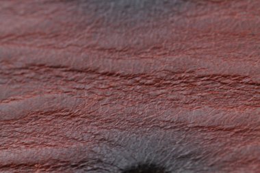 kırmızı kahverengi hayvan deri