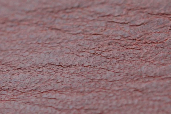 Красная кожа животного — стоковое фото