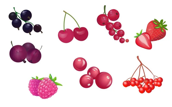 Vector set of garden berries — 스톡 벡터