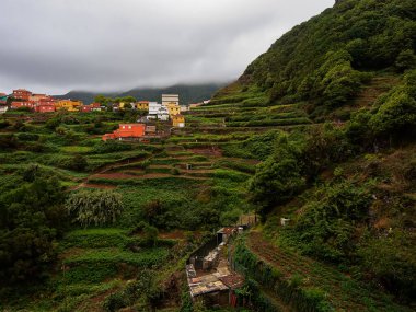 Tenerife 'deki Dağ Manzarası, Kanarya Adaları, İspanya. 