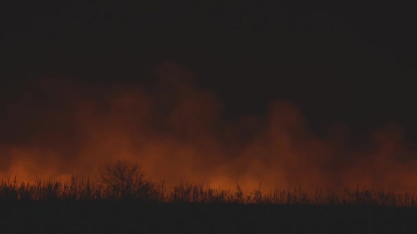 Nächtliches Abenteuer. Rauch fliegt über Feld und sieht aus wie Nebel — Stockvideo