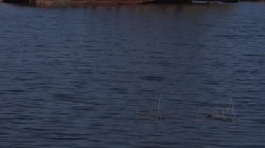 Gemi Nehri üzerinde bir mezarlığı. Pek çok paslı mavna ve tekneler su