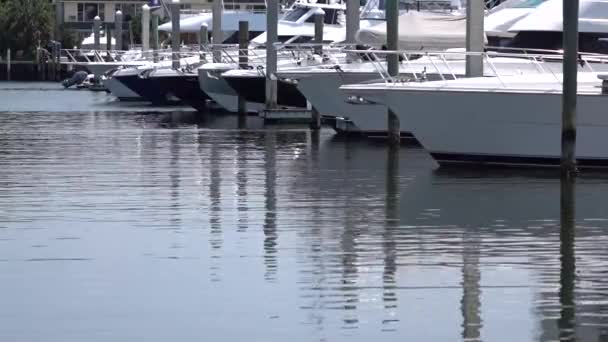 Luxusní jachty a čluny zakotvila v přístavu — Stock video