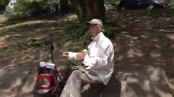 Giper est tombé. En marchant dans le Central Park de New York. New York, États-Unis, le 11 mai 2016 — Video