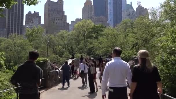 Caminando por el parque central de Nueva York. Vídeo con cámara estabilizada. Nueva York, Estados Unidos, 11 de mayo de 2016 — Vídeo de stock