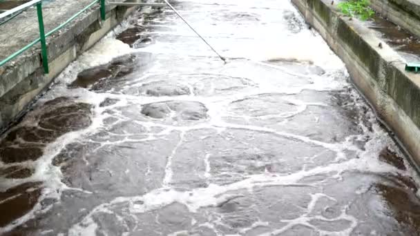 Station de traitement des eaux usées. Réservoirs d'eau — Video