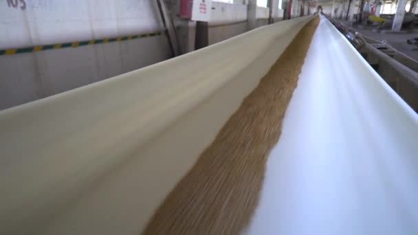 Close View Grain Conveyor Elevator Factory — Stock video