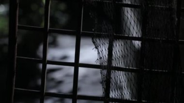 Bıçaklı, bilinmeyen bir adamın yavaş görüntüleri. Gece evin yakınlarında yürüyorlar. Şebekeden bakıyorlar.