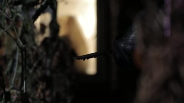 Kanlı bıçaklı, kimliği belirsiz bir adamın gece evinin yakınındaki kurbanı izlediğini gösteren yavaş bir görüntü.