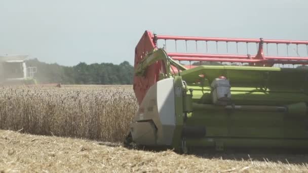 Trabajo Agrícola Combina Cosechadora Recoge Cosecha Trigo — Vídeos de Stock