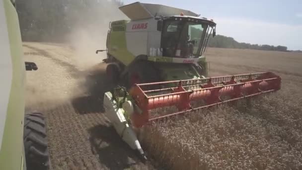 Landwirtschaftliche Arbeit Mähdrescher Sammelt Die Weizenernte Ein — Stockvideo