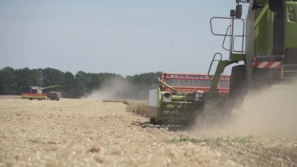 Сельскохозяйственная Работа Комбайны Собирают Урожай Пшеницы — стоковое видео