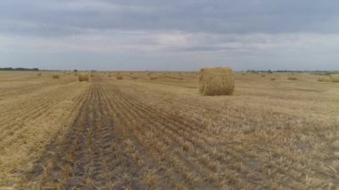 Buğday hasadından sonra tarlanın yavaş çekimleri