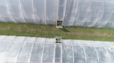 Yiyecek yetiştirme bitkileri. Seranın havadan görünüşü.