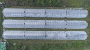 Yiyecek yetiştirme bitkileri. Seranın havadan görünüşü.