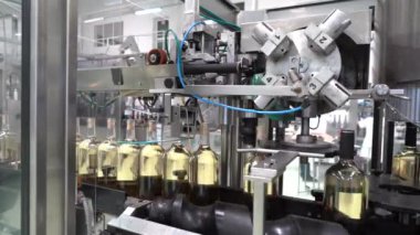 Şarap şişeleri ve Koblevo fabrikasındaki çalışma sürecini kontrol eden işçilerin yavaş görüntüsü.