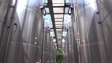 Şarap fermantasyonu için büyük çelik fıçılar. Şarap üretim tesisi. Çelik şarap damıtma tankları.