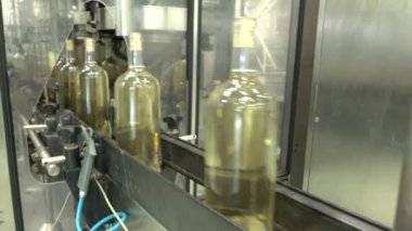 Koblevo fabrikasındaki güneş ışığında şarap şişeleri taşıyan taşıyıcının yavaş görüntüleri.