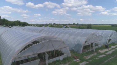 Yiyecek yetiştirme bitkileri. Seranın havadan görünüşü.