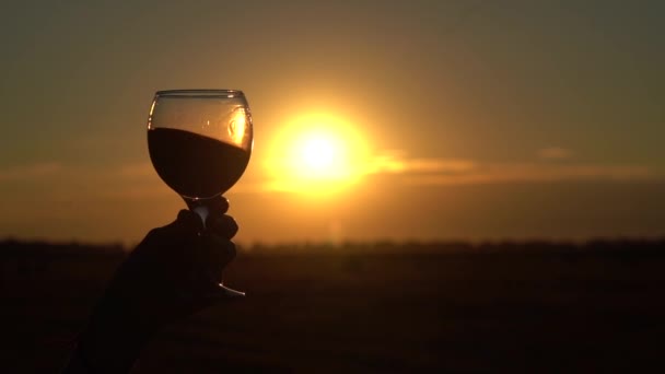 Imágenes Lentas Mano Sosteniendo Copa Con Vino Campo Con Puesta — Vídeo de stock